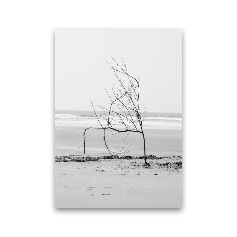 Beach Sculpture Photography Print by Victoria Frost Print Only