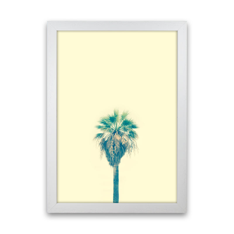 Yellow Palm Tree Photography Print by Victoria Frost White Grain
