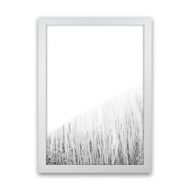 White Horse I Photography Print by Victoria Frost White Grain