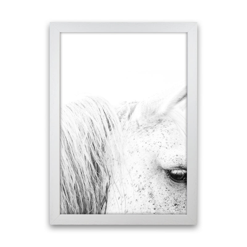 White Horse II Photography Print by Victoria Frost White Grain