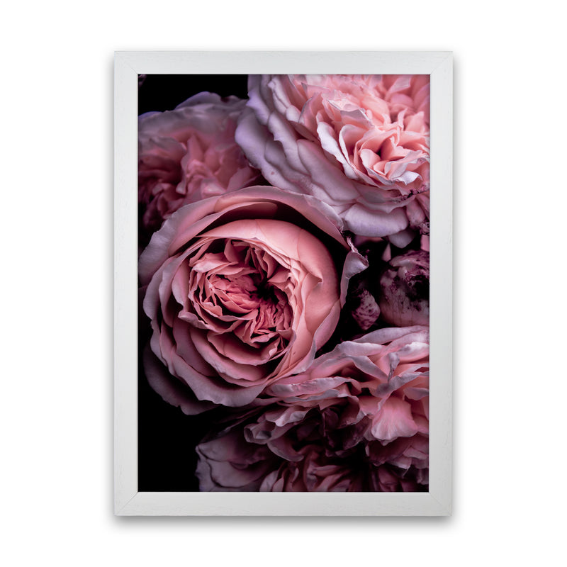 Vintage Pink Photography Print by Victoria Frost White Grain