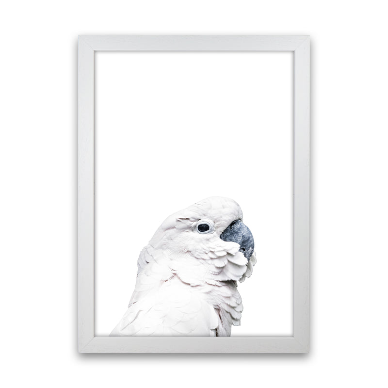 White Cockatoo Photography Print by Victoria Frost White Grain