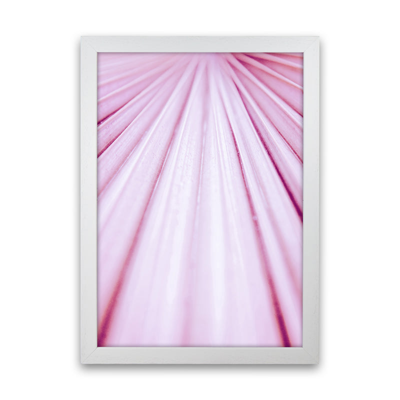 Pink Palm Leaf Photography Print by Victoria Frost White Grain