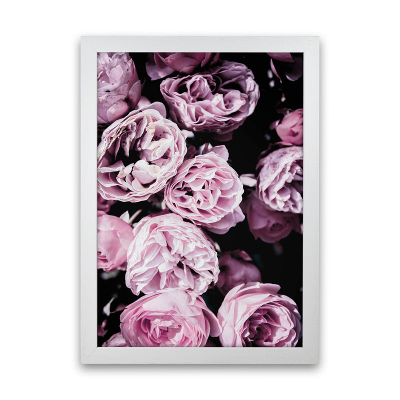 Pink Flowers II Photography Print by Victoria Frost White Grain