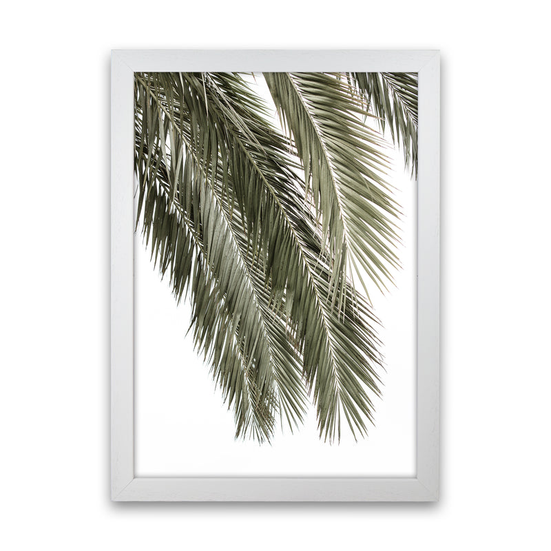 Palms Photography Print by Victoria Frost White Grain