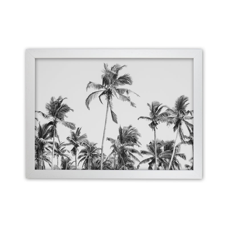 Palm Trees on the beach II Photography Print by Victoria Frost White Grain