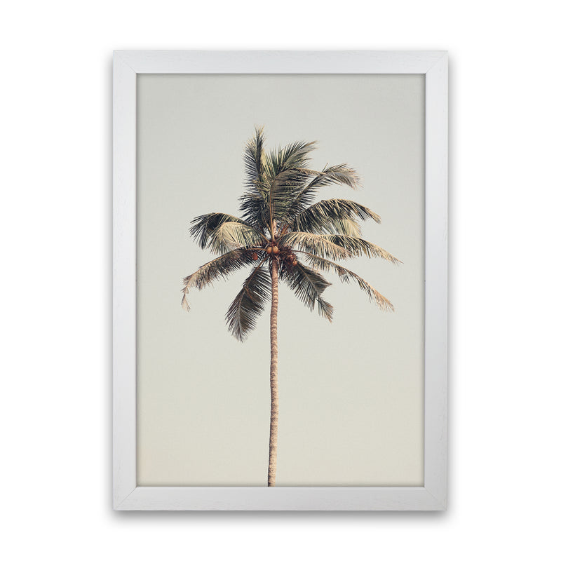 Palm tree by the beach Photography Print by Victoria Frost White Grain