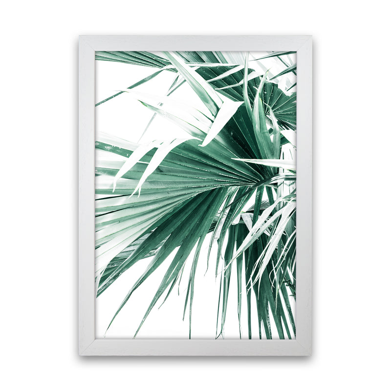 Palm Leaves Photography Print by Victoria Frost White Grain