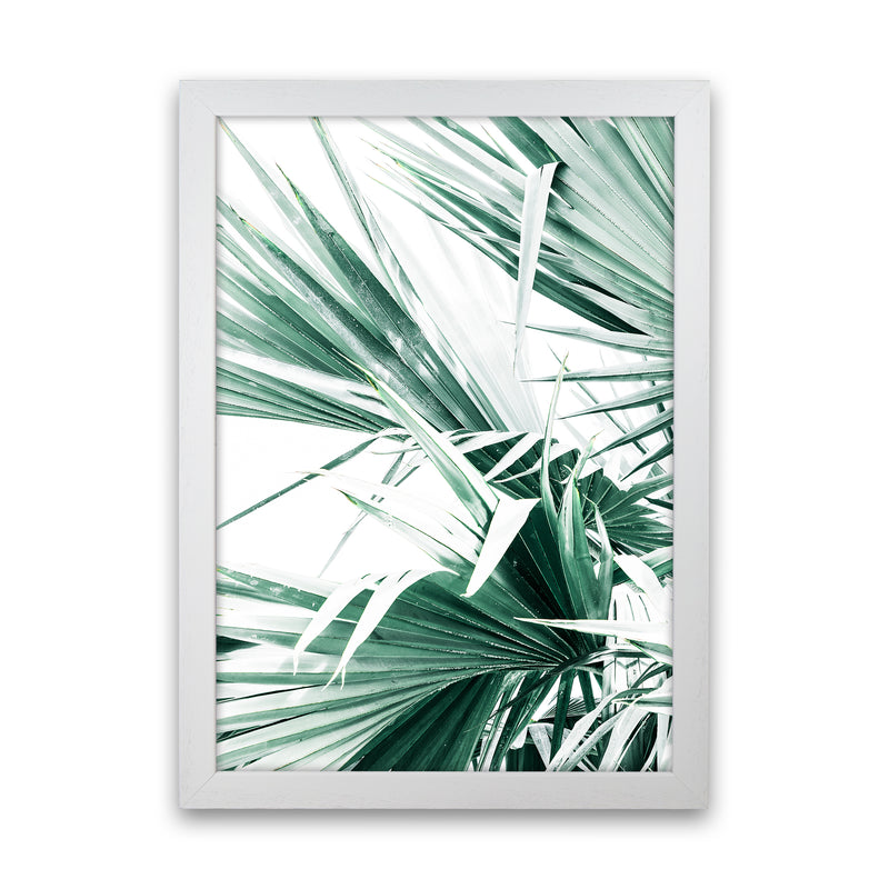 Palm Leaves II Photography Print by Victoria Frost White Grain