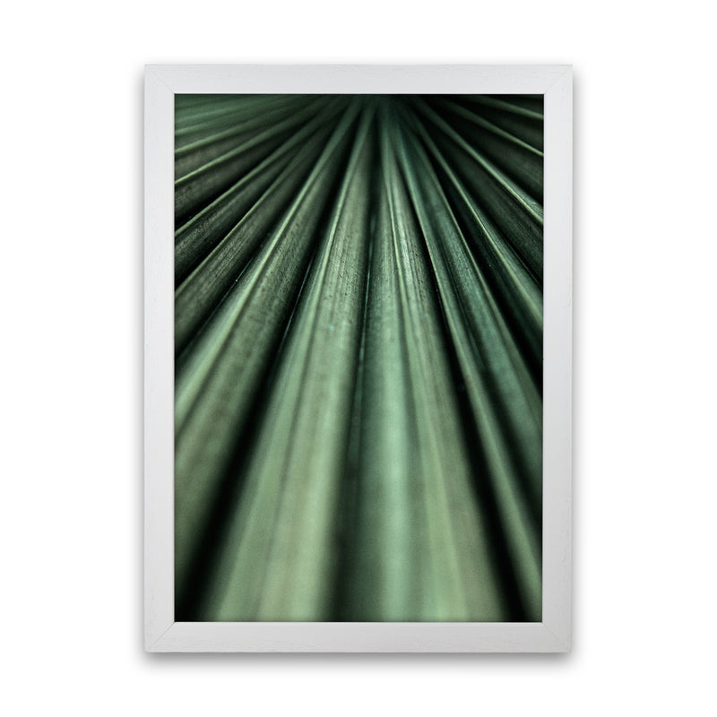 Green Palm Leaf Photography Print by Victoria Frost White Grain
