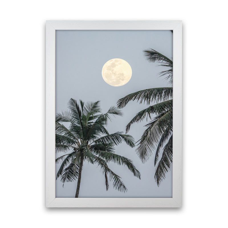 Full Moon Photography Print by Victoria Frost White Grain