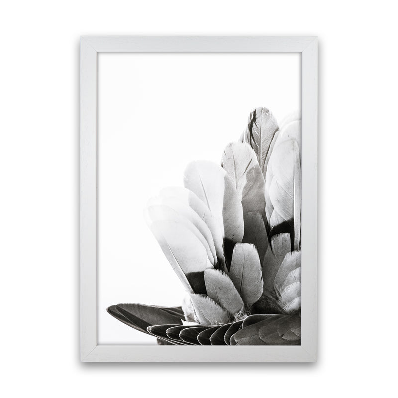 Feathers Photography Print by Victoria Frost White Grain
