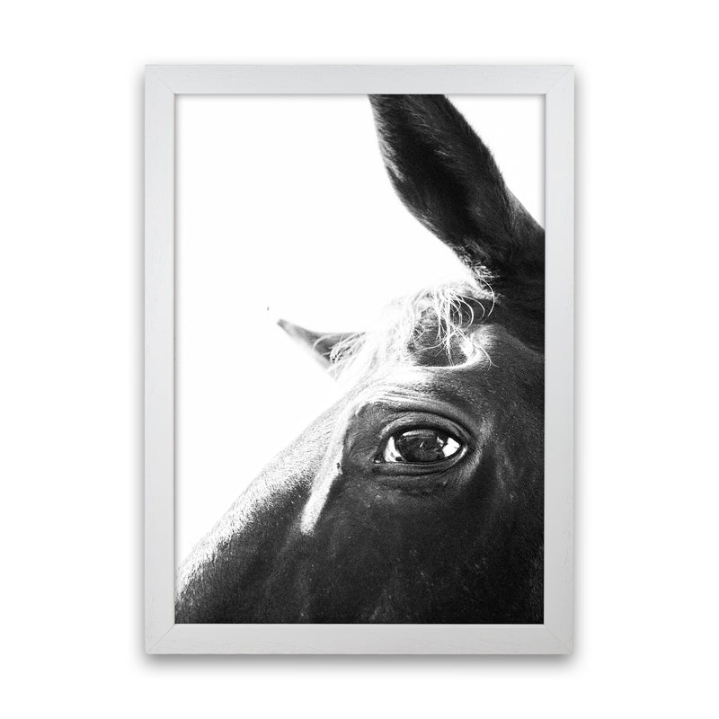 Eye of the beholder Photography Print by Victoria Frost White Grain