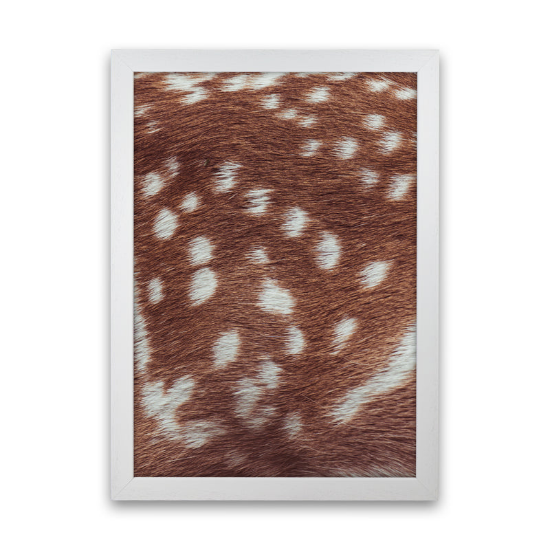 Deer skin Photography Print by Victoria Frost White Grain