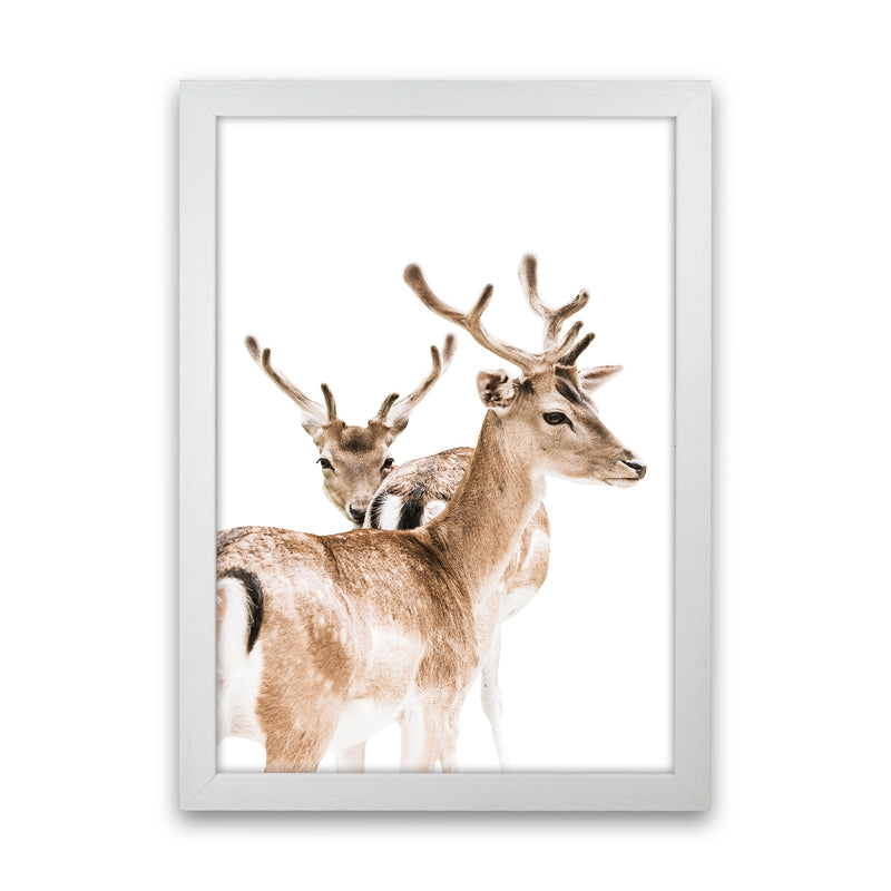 Deers II Photography Print by Victoria Frost White Grain