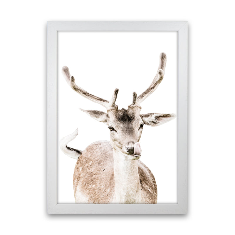 Deer I Photography Print by Victoria Frost White Grain