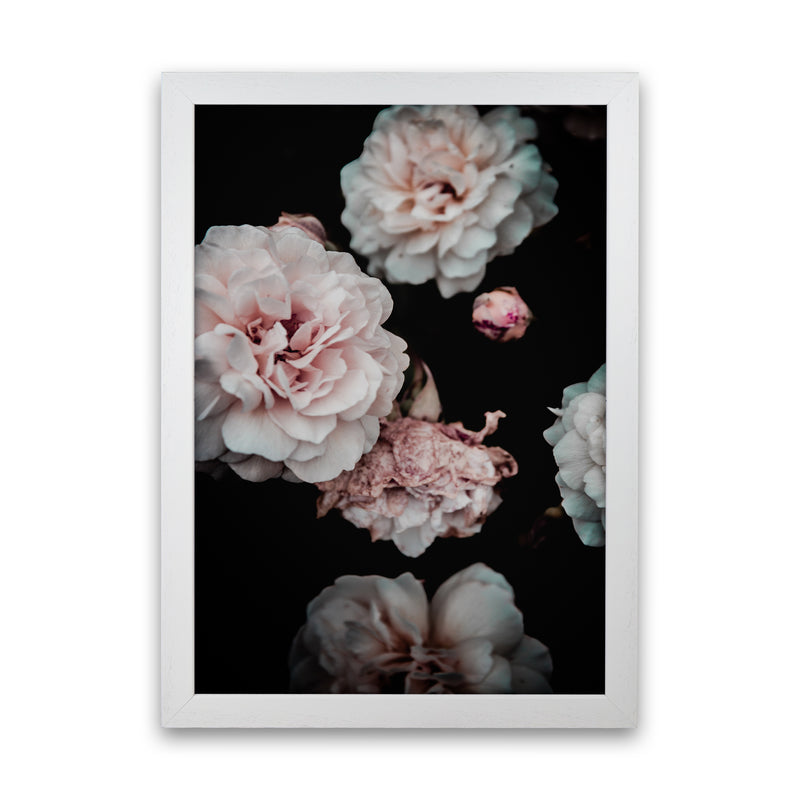 Crisp Pink Photography Print by Victoria Frost White Grain