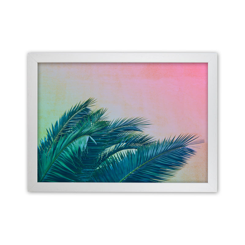 Botanical Palms Photography Print by Victoria Frost White Grain