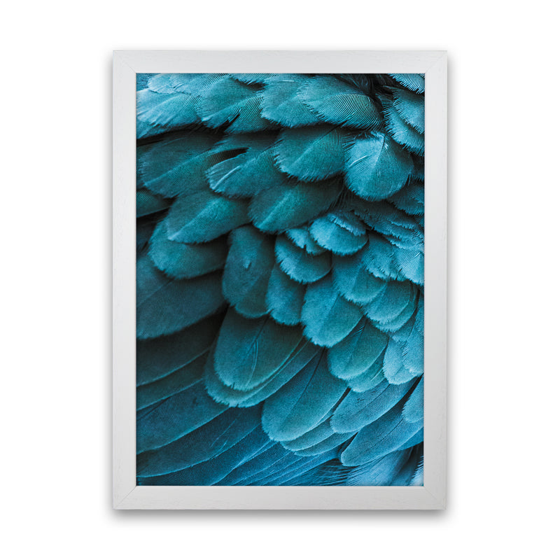 Blue Feathers Photography Print by Victoria Frost White Grain