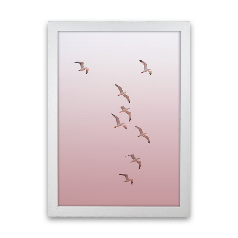 Birds in the Sky-pink Photography Print by Victoria Frost White Grain