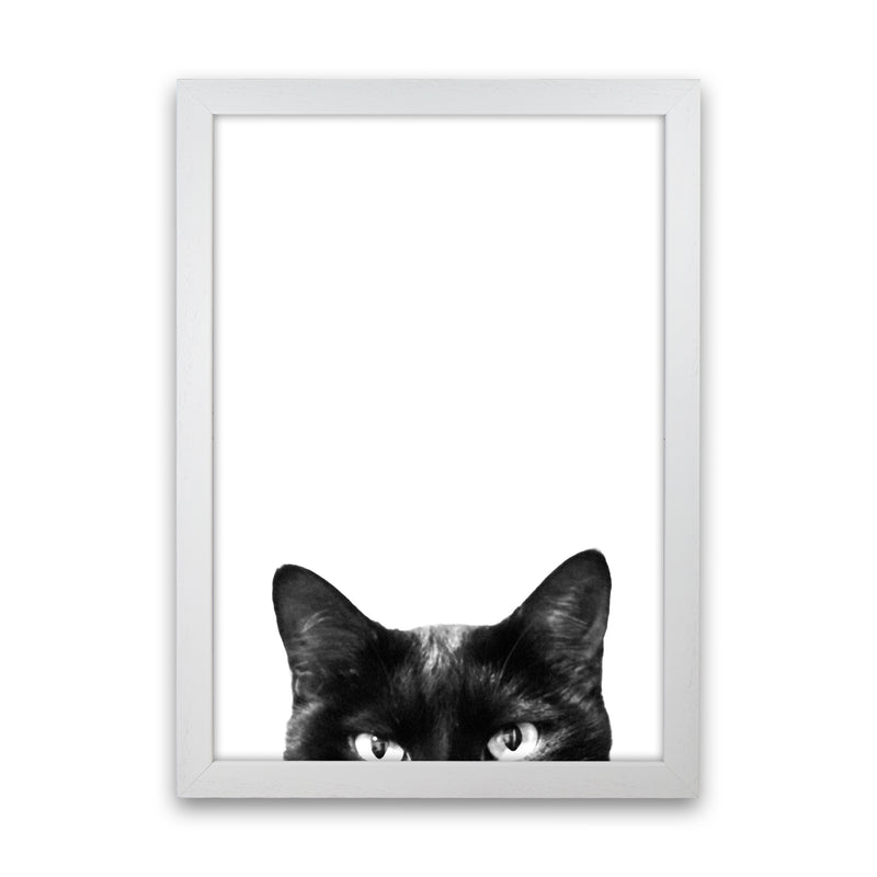 Black Cat Photography Print by Victoria Frost White Grain