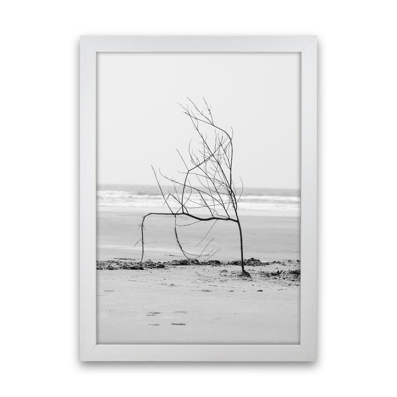 Beach Sculpture Photography Print by Victoria Frost White Grain
