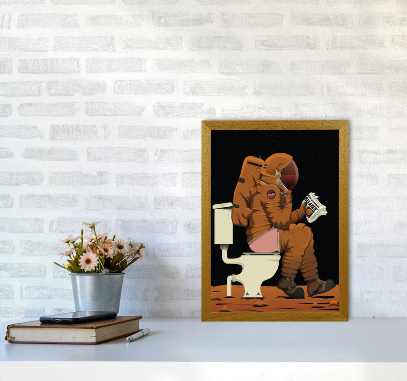 Mars on Loo by Wyatt9 A3 Print Only