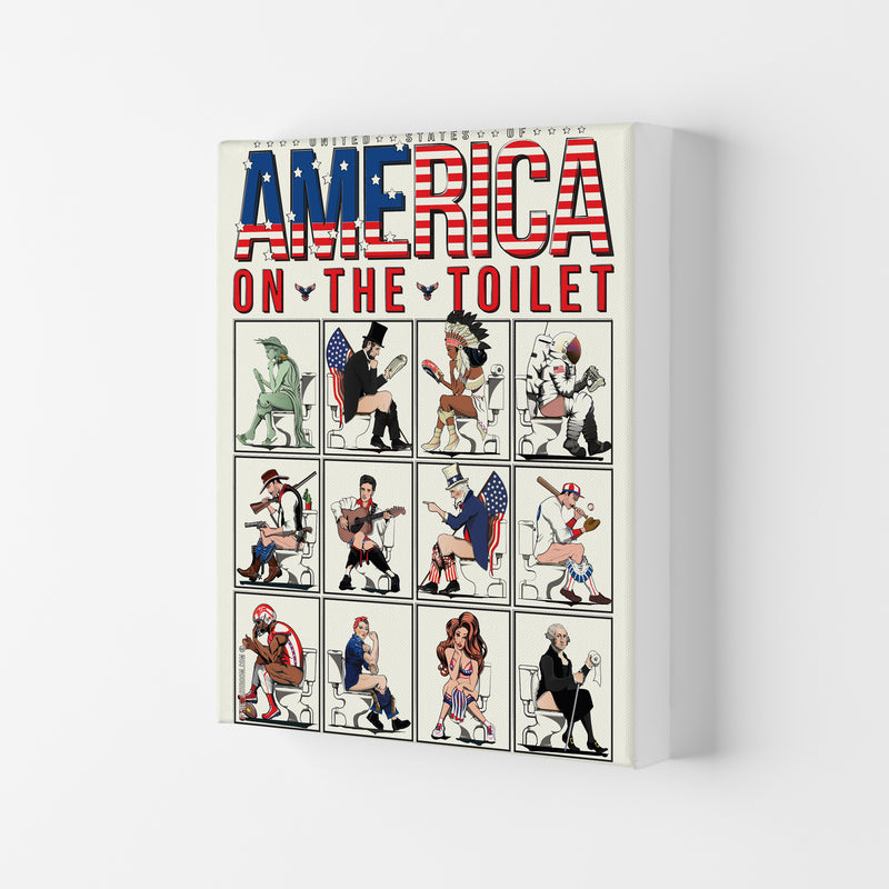 America on the Toilet by Wyatt9 Canvas