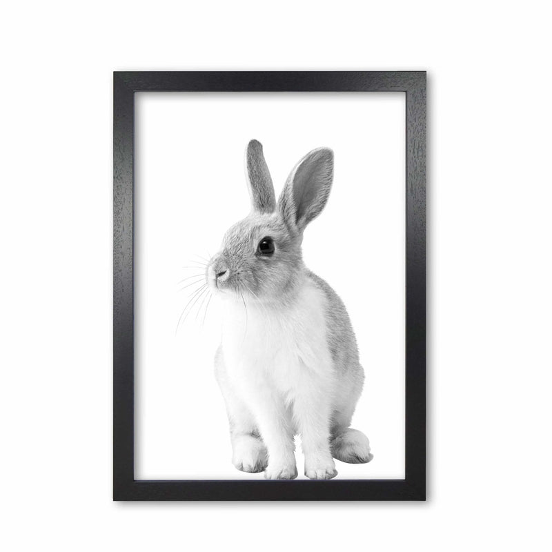 Black and white bunny modern fine art print
