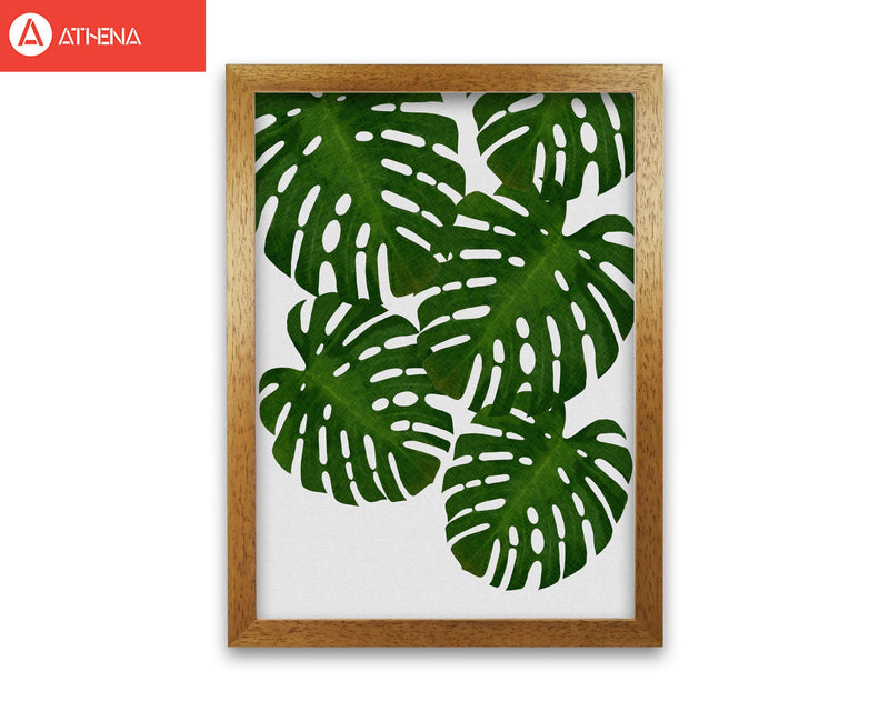 Monstera leaf i fine art print by orara studio, framed botanical &