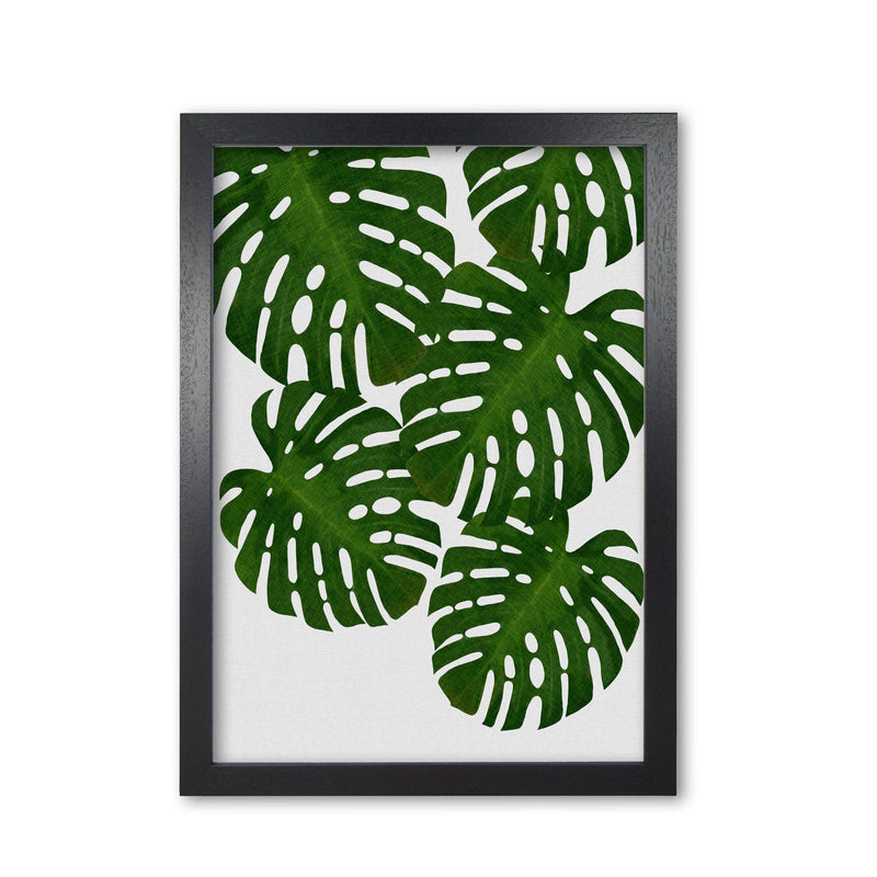 Monstera leaf i fine art print by orara studio, framed botanical &