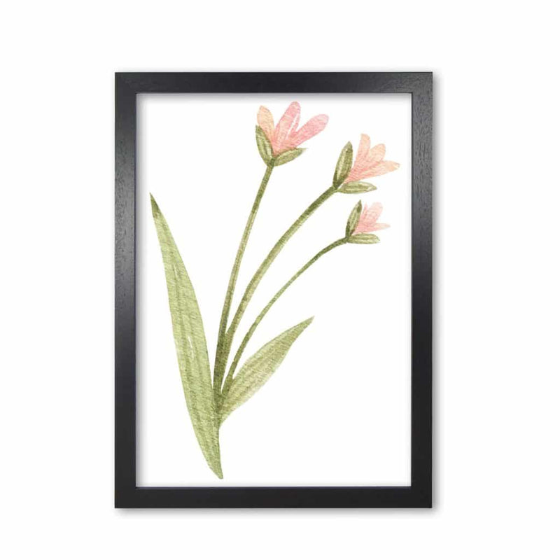 Pink watercolour flower 1 modern fine art print