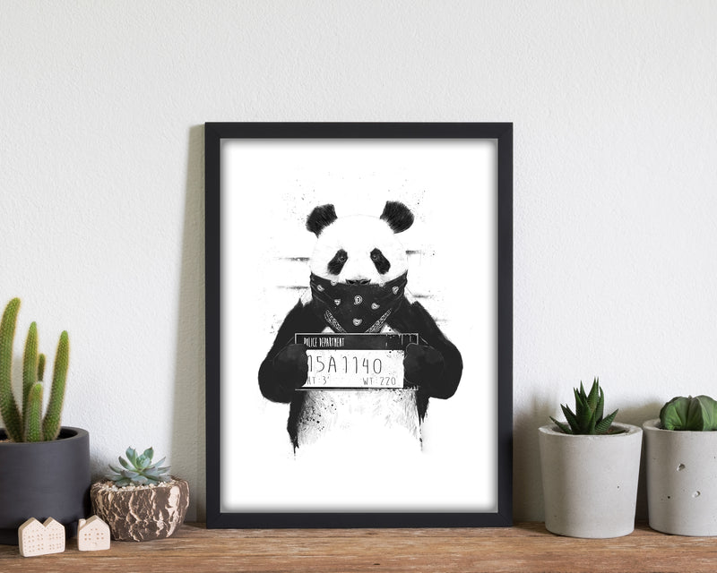Bad Panda Animal Art Print by Balaz Solti