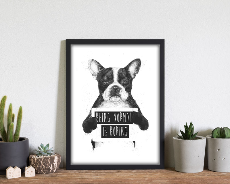 Being Normal Is Boring Animal Art Print by Balaz Solti