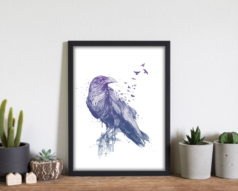 Born To Be Free Raven Animal Art Print by Balaz Solti