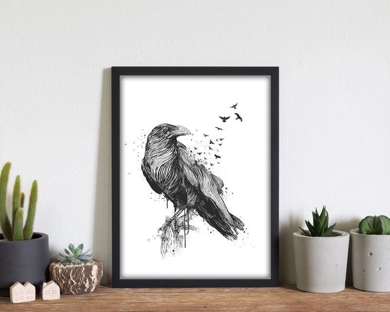Born To Be Free Raven B&W Animal Art Print by Balaz Solti