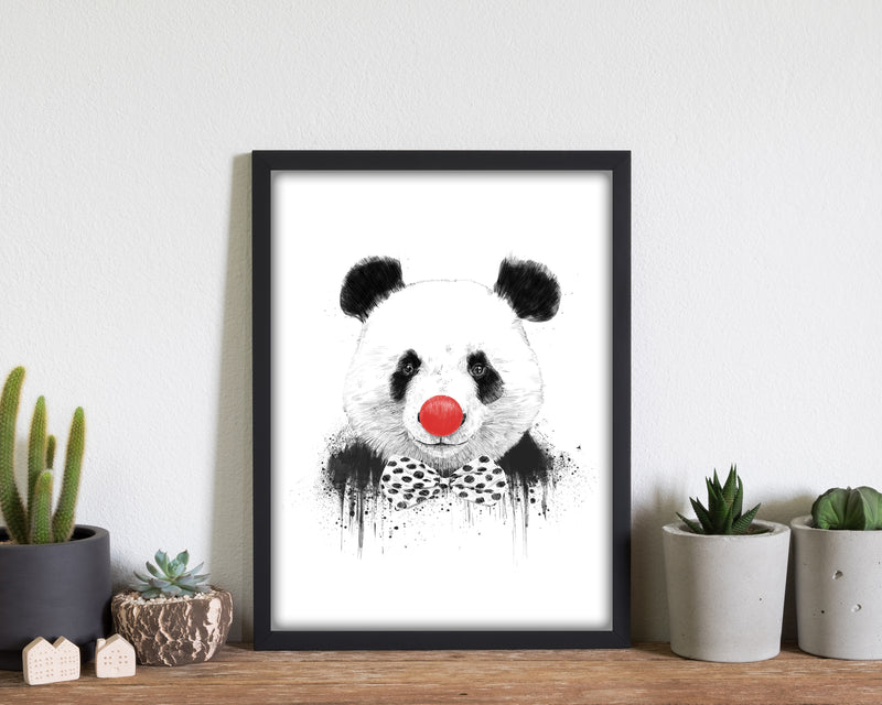 Clown Panda Animal Art Print by Balaz Solti