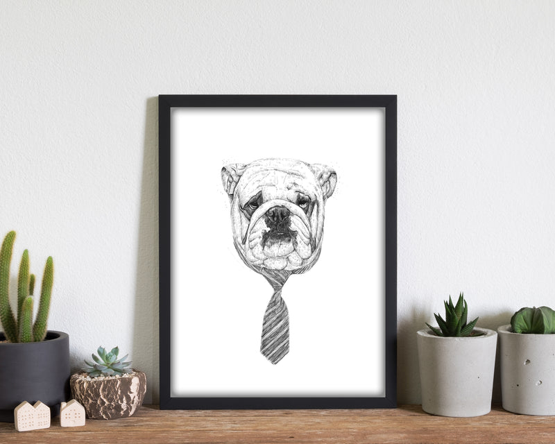 Cool Bulldog Animal Art Print by Balaz Solti