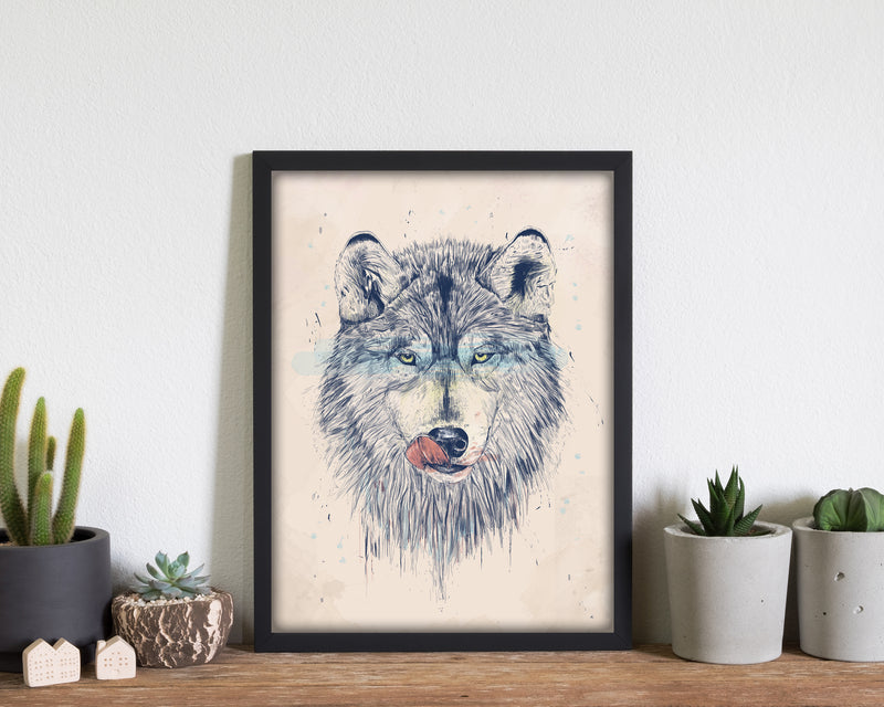Dinner Time Wolf Animal Art Print by Balaz Solti