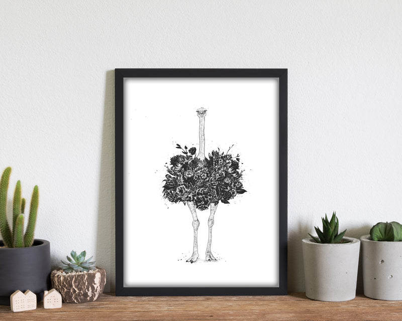 Floral Ostrich Animal Art Print by Balaz Solti