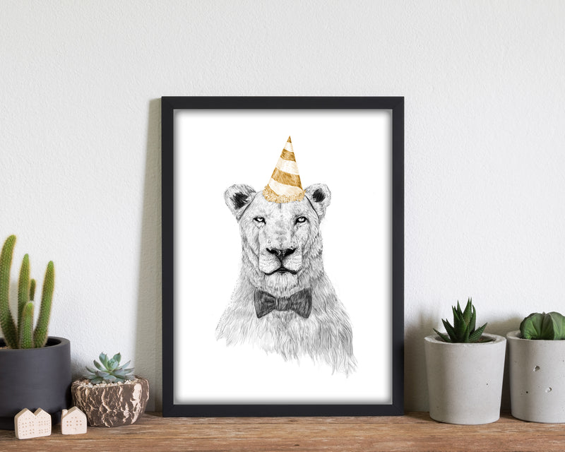 Get The Party Started Lion Colour Animal Art Print by Balaz Solti