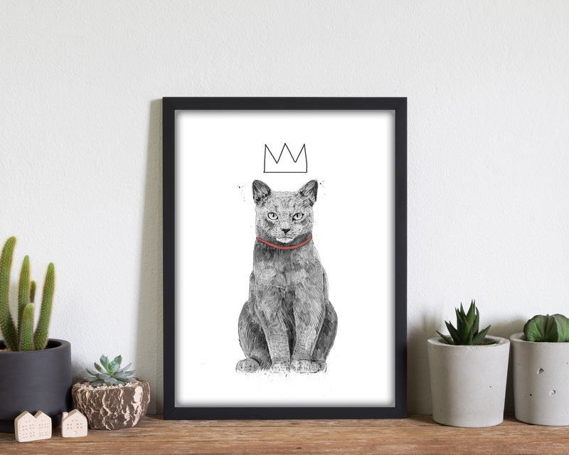 King Of Everything Animal Art Print by Balaz Solti