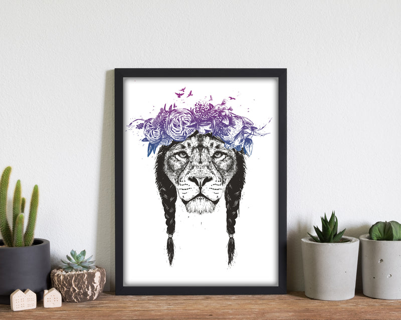 King Of Lions Animal Art Print by Balaz Solti