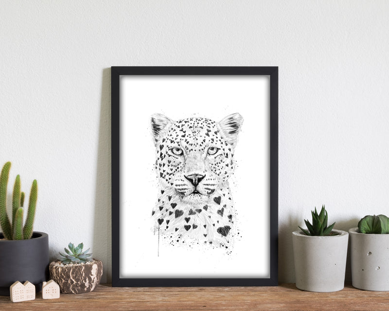 Lovely Leopard Animal Art Print by Balaz Solti