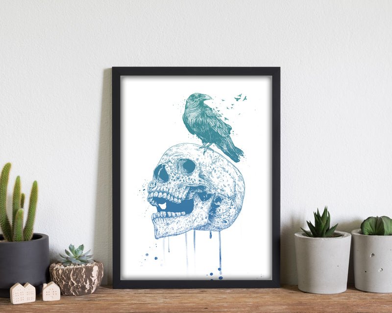 Skull & Raven Colour Animal Art Print by Balaz Solti