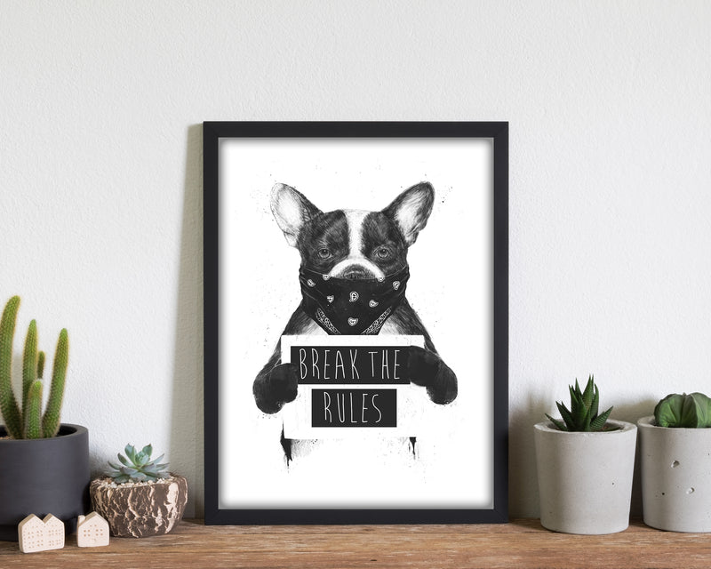 Rebel Bulldog Animal Art Print by Balaz Solti