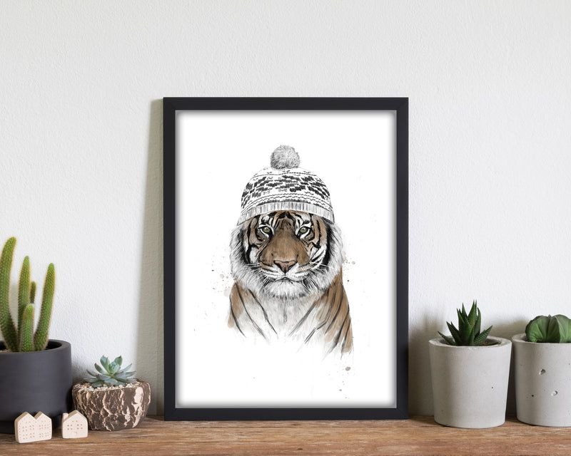 Siberian Tiger Animal Art Print by Balaz Solti