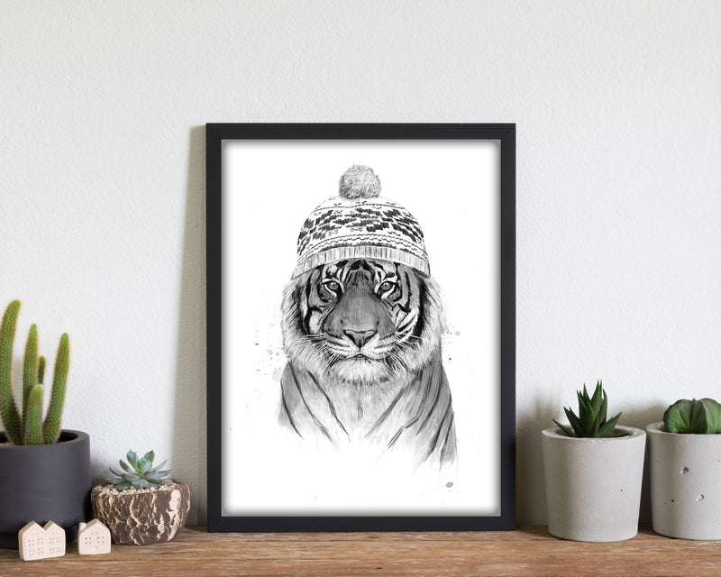 Siberian Tiger B&W Animal Art Print by Balaz Solti