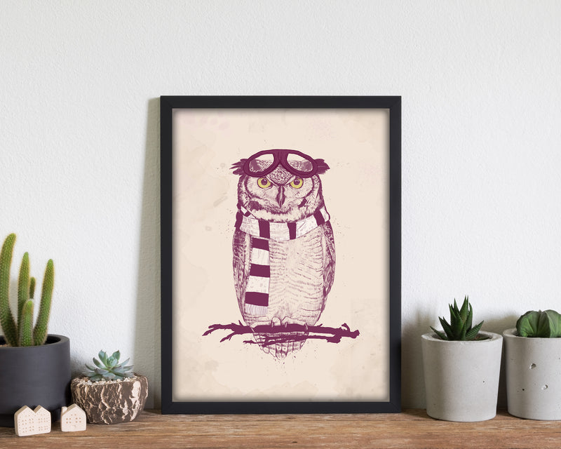 The Aviator Owl Animal Art Print by Balaz Solti