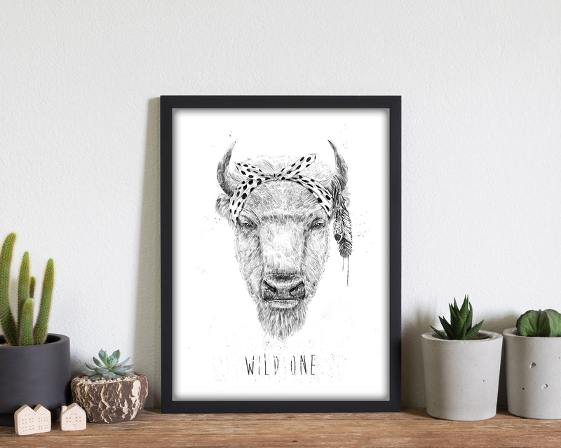 Wild One Buffalo Animal Art Print by Balaz Solti